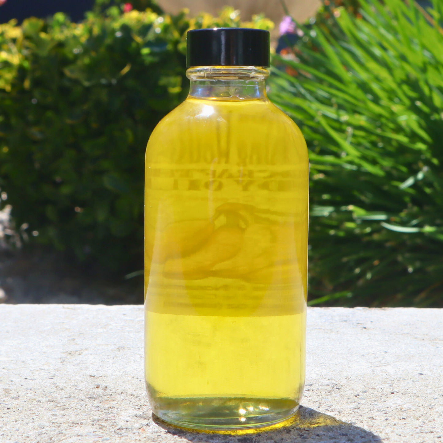 Handcrafted Banana Cream Pie Body Oil