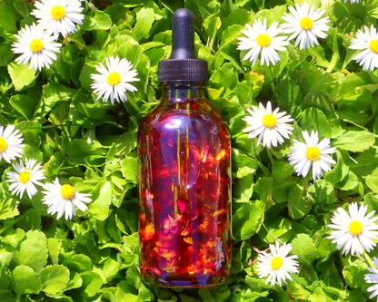Handcrafted Rose Multi-Use Oil for Body, Hair & Cuticle - Dropper Included