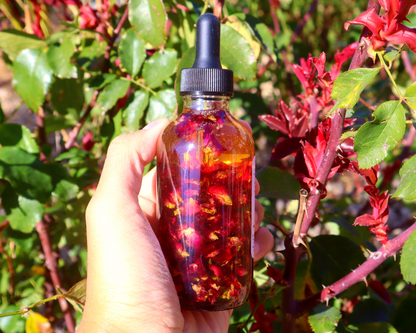 Handcrafted Rose Multi-Use Oil for Body, Hair & Cuticle - Dropper Included