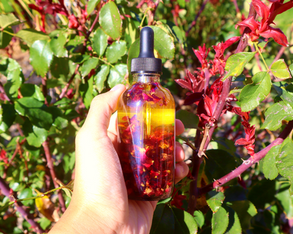 Handcrafted Rose Multi-Use Oil for Body, Hair & Cuticle - Dropper Included