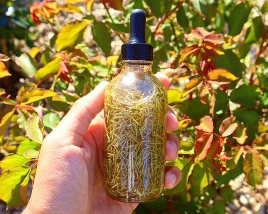 Handcrafted Rosemary Multi-Use Oil for Hair and Body